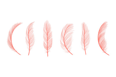 Trendy coral feathers. Vector pink fallen feathers isolated on white b