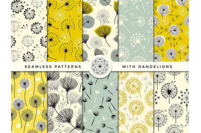 Dandelion seamless. Wind flowers nature herbal decorate vector collect