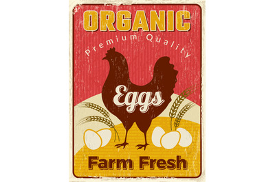 Chicken poster. Fresh egg healthy farm food vector design placard