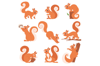 Cartoon squirrel. Funny forest wild animals running standing and jumpi