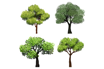 Trees realistic. Nature garden botanical collection trees with green l