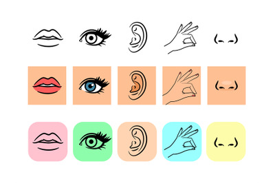 Five senses icons