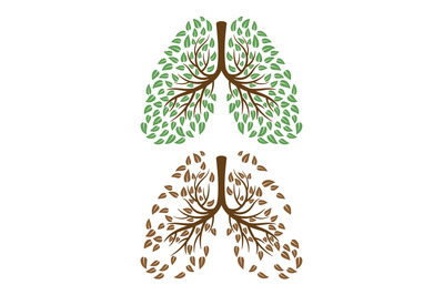 Human lungs with foliage concept