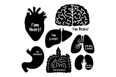 Black silhouettes&2C; icons of human internal organs vector set