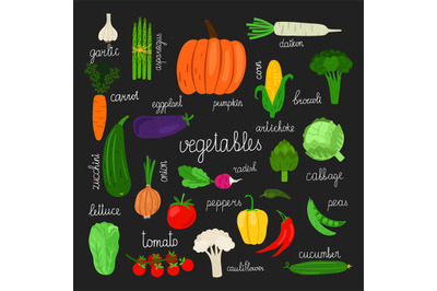 Harvest, fresh vegetables of set vector illustration