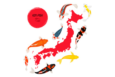 Koi fish and Japan map