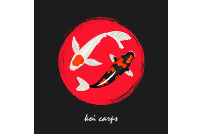 Koi japanese carps vector background. Koi fish banner design