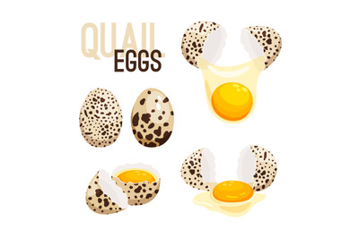 Quail eggs, whole and broken vector illustration