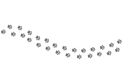 Footpath trail of animal. Dog or cat paws print vector isolated on whi