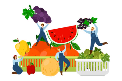 Farmers and fruits. Harvest time vector illustration. Fresh fruits and