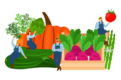 Farmers and vegetables. Harvest time vector illustration. Fresh vegeta