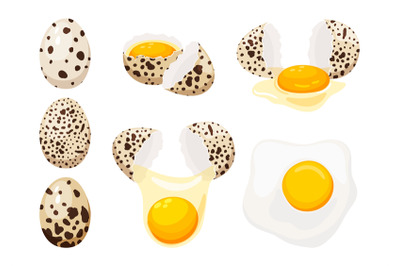 Quail eggs set