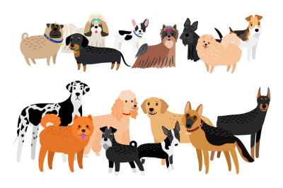 Different dogs breeds collection