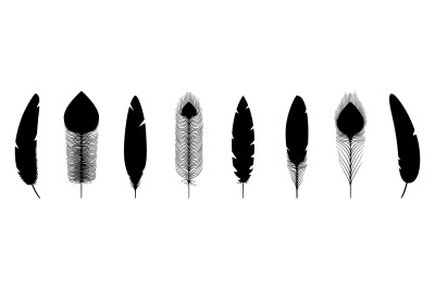 Black feathers silhouettes