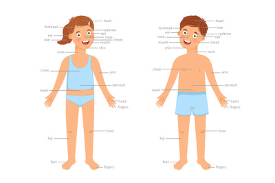 Kids body parts infographic