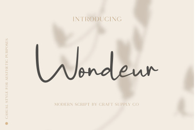 Wondeur - Modern Script Font