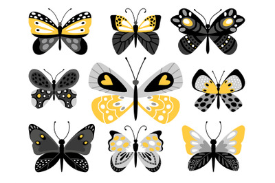 Butterflies vector color illustrations set