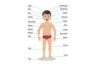 Cartoon boy body parts