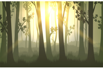 Tree trunks sunset background