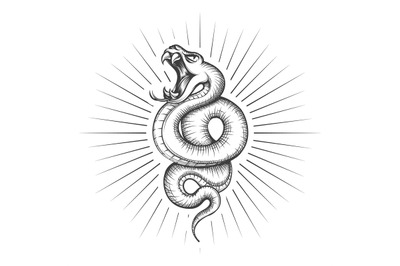 Rattlesnake snake tattoo