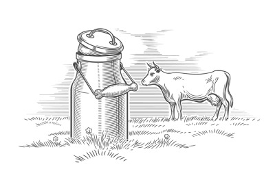 Milk can and cow engraving