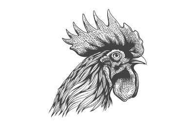 Rooster head engraving