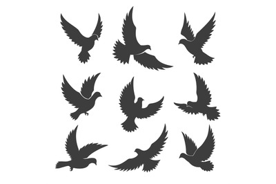 Dove spiritual silhouettes