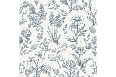 Herbs sketch seamless pattern