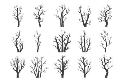 Winter dry trees