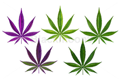 Cannabis Realistic Set