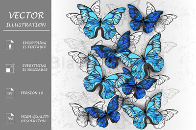 Composition of White and Blue Butterflies