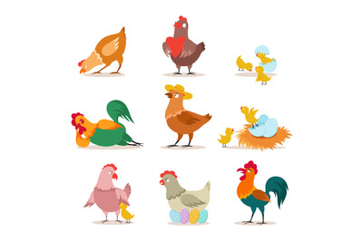 Chicken set. Farm chick, hen and rooster in various poses. Happy chris