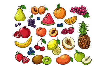 Cartoon berries and fruits. Pineapple grapes, pear apple, orange mango