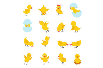 Cute chicks. Cartoon easter baby chickens with eggs. Funny yellow chic