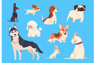 Cartoon dogs breeds. Corgi and husky, poodle and beagle, pug and chihu