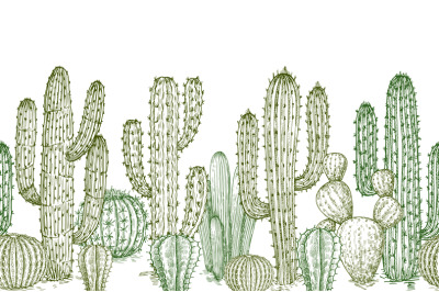 Cactus seamless pattern. Sketch desert cactuses plants endless border