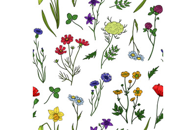 Wild flowers seamless pattern. Floral wildflower vintage wallpaper. Su