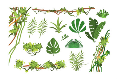 Jungle vine. Cartoon rainforest leaves and liana overgrown plants. Iso