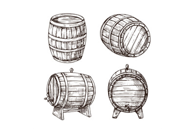 Sketch barrels. Whiskey oak casks. Wooden wine barrel in vintage engra