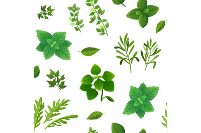 Spice seamless pattern. Food herbs and spices oregano green basil mint