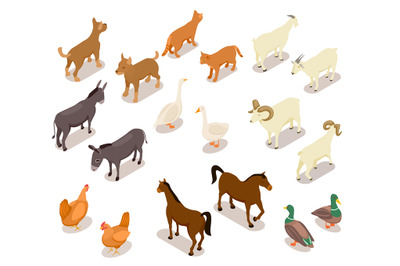 Farm animals isometric. Horse and dog&2C; cat and goose&2C; chicken and goat