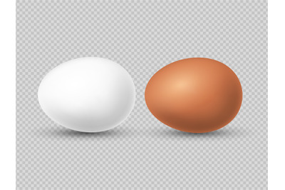 Realistic brown and white chicken eggs vector illustration