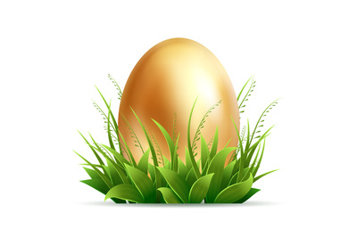 Realistic golden egg and green grass isolated on white background - ve