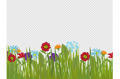 Spring flowers and grass border isolated on transparent background