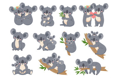 Cute koala and baby. Cartoon little koalas with moms. Australian bear