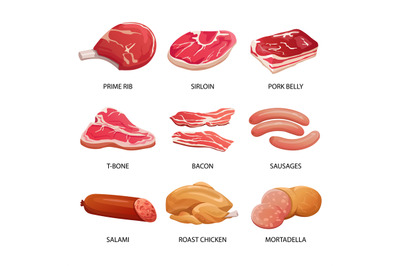 Types of meat and meat products vector illustration