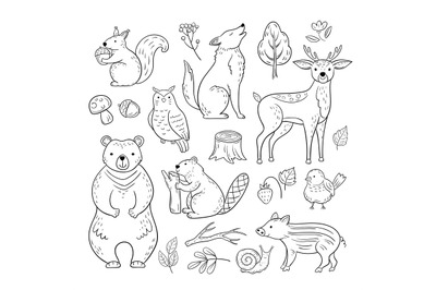 Doodle forest animals. Woodland cute baby animal squirrel wolf owl bea