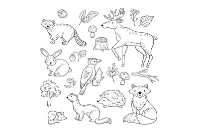 Sketch forest animals. Woodland cute baby animal raccoon elk hare wood