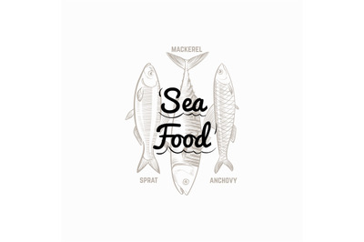 Fish products sign with hand drawn fish mackerel, sprat, anchovy vecto