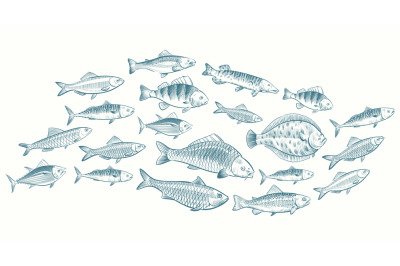 Hand sketched fish vector illustration. Underwater life banner for res